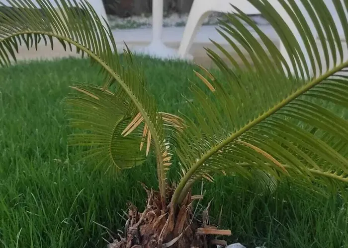 Appart hôtel Marina Sahil Çeşme